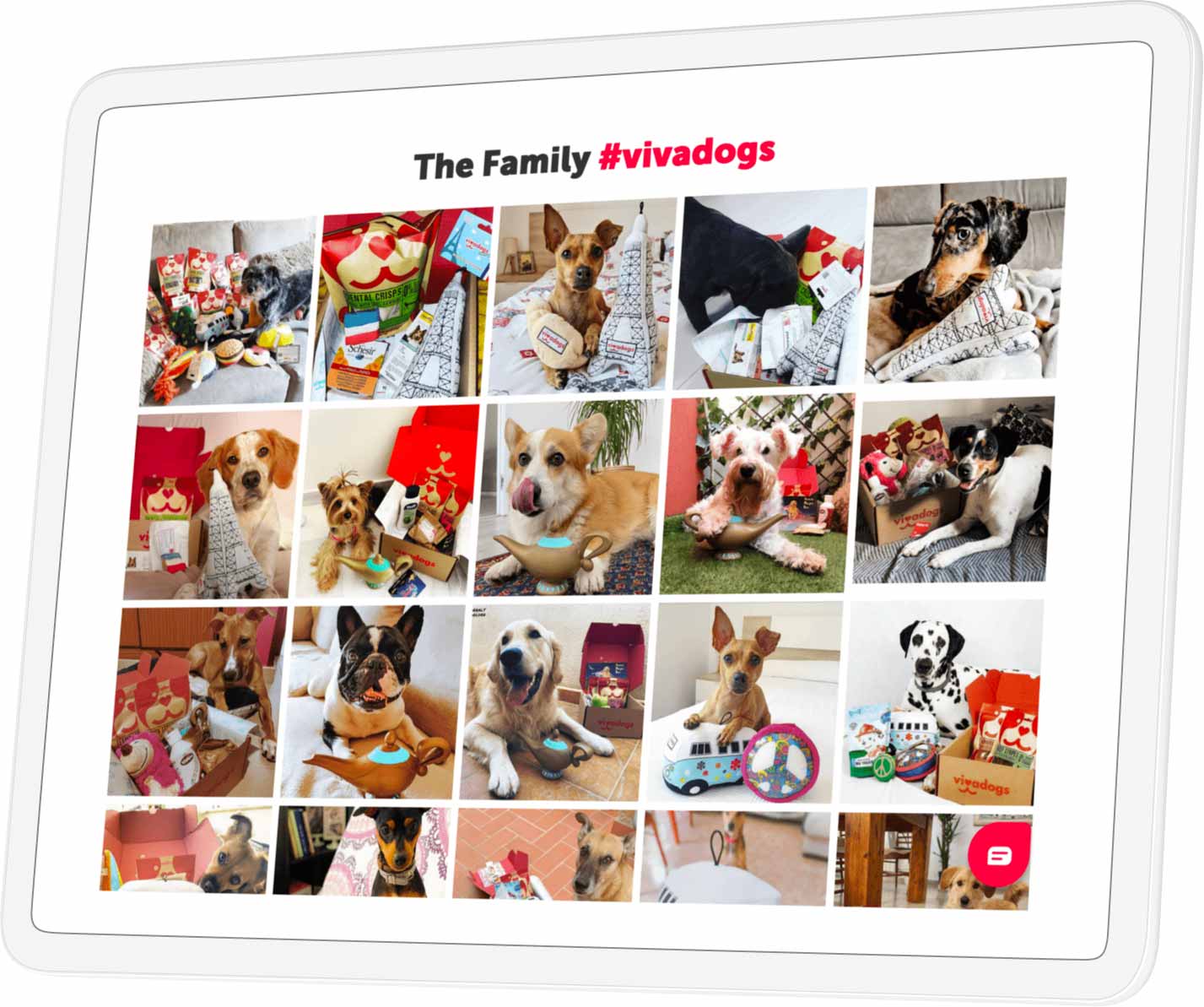 iPad with a gallery of dogs with the hashtag vivadogs