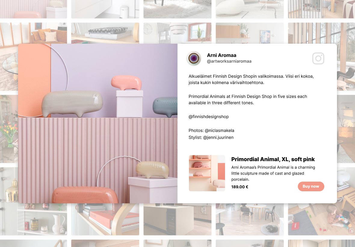Example of a shoppable feed