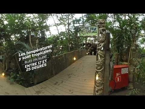 Jungle Dôme Het Heijderbos - Video 360°