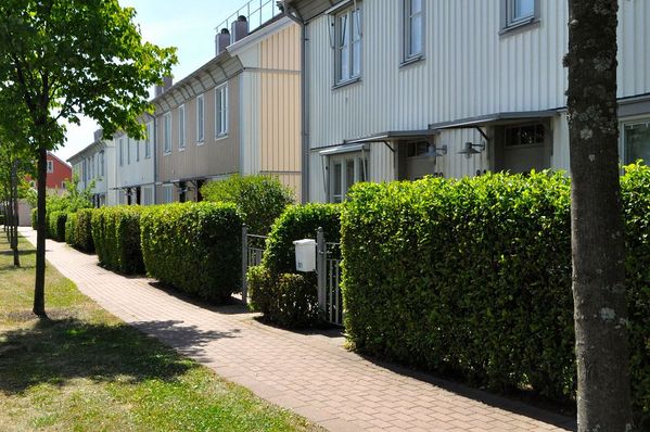 Mikael och Evas hus i Göteborg är byggt i slutet av 90-talet och det fanns ett behov av ett funktionellt kök.