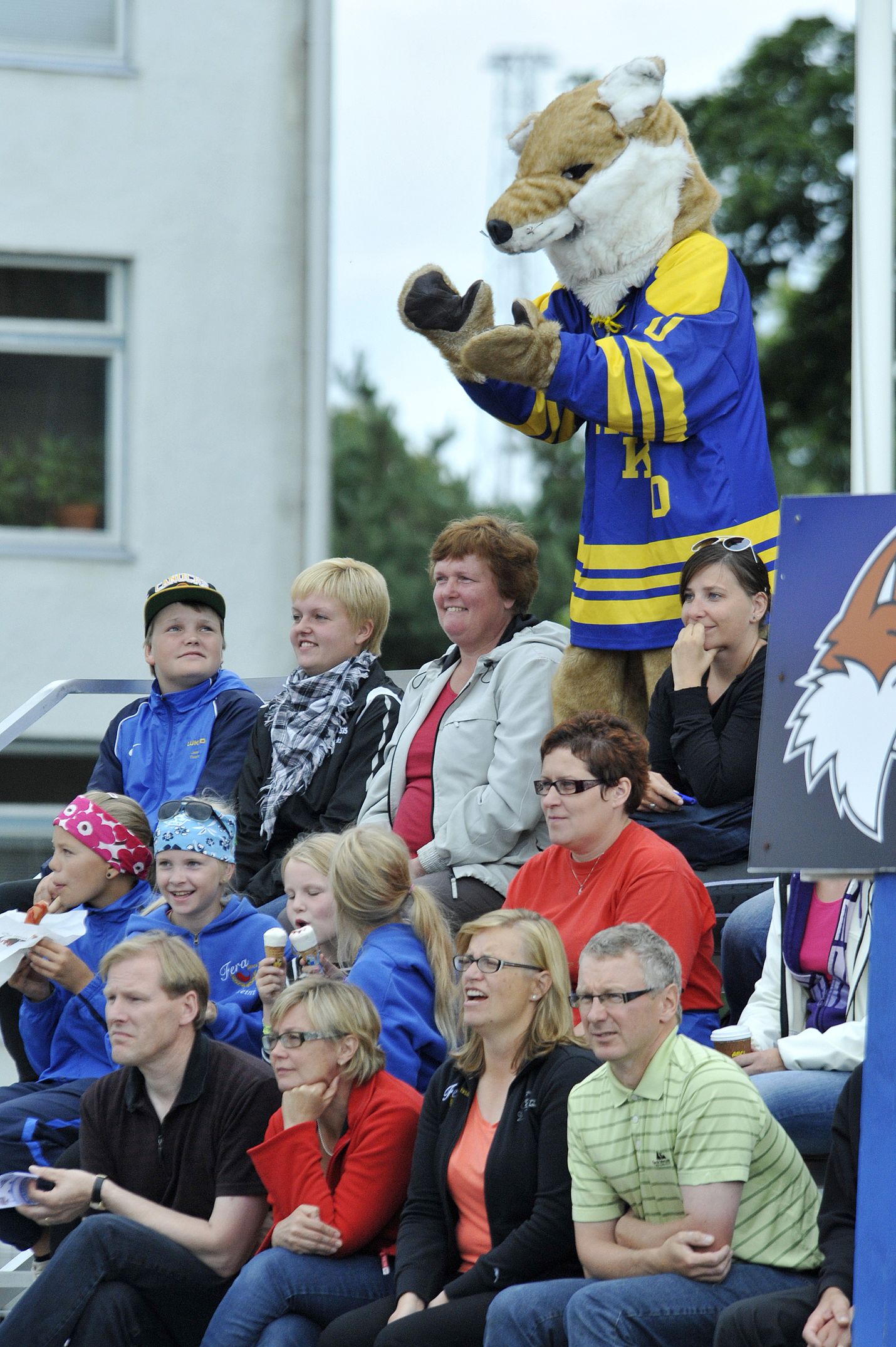 Katsojien pitää aina olla valppaita, sillä kettu hyppää herkästi mukaan kannustuslauteille, kuten Otanlahdessa vuonna 2012. Kuva: Joonas Salo