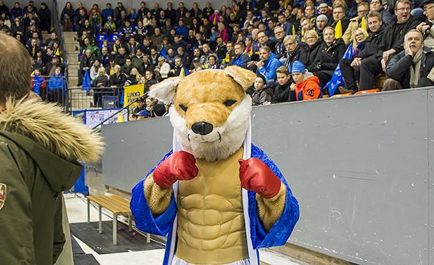 Peleissä pataa vastaan on aina erityinen tunnelma - niin myös Eetu-ketulla. Kuva viimeismmästä Ässät-pelistä tammikuulta 2015. Kuva: Esa Urhonen
