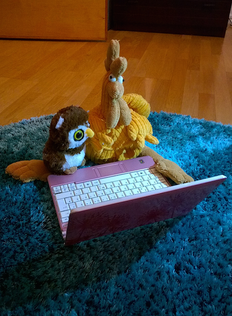 “Pair Programming is a Hoot” by Pinja Turunen can be reused under the CC BY license.