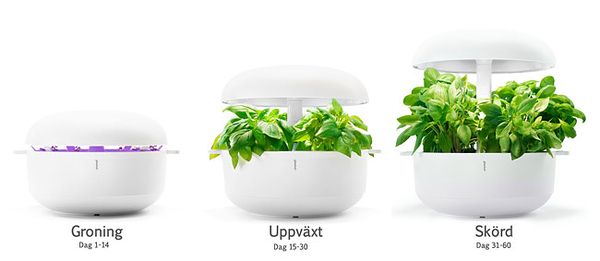 Plantui Smart Garden växer med innehållet.