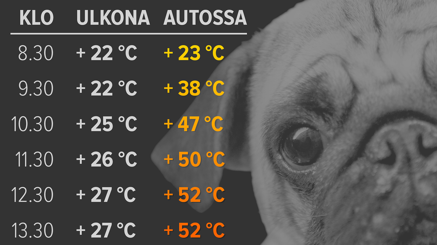 Näin nopeasti autosta tulee pätsi. Lähde: Ruotsin Kennelliitto. Lämpötilat aurinkoisen sään mukaan.