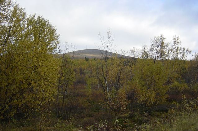 The Ailigas fell in the town of Karigasniemi, Utsjoki municipality. Photo: Irja Seurujärvi-Kari.​