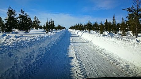 Tuntsan talviset olosuhteet 2015 maaliskuu,
