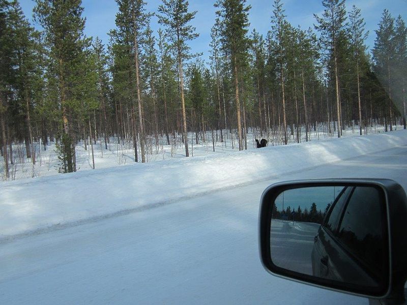 ...mutta kääntyikin pohjoisen kautta länteen oikeaan suuntaan, Suomeen.