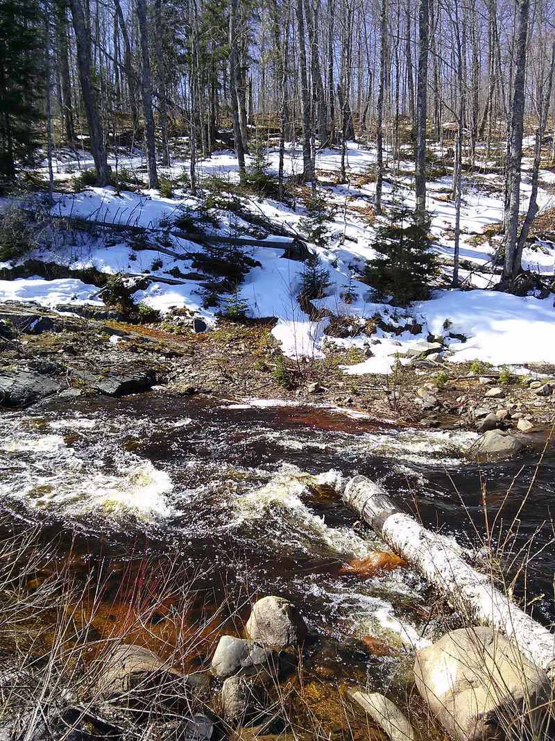 Lots of snow melt in the sunny areas, found numerous moose tracks too​