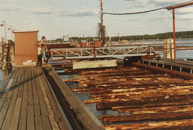 The last phase of river driving, sorting, in the mouth of Kemijoki river in 1982. Photo: Hanna Snellman's personal archives.​