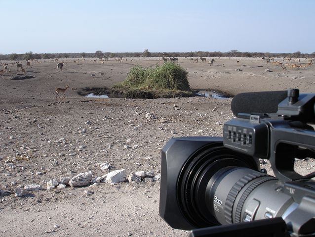 Janne Hopsu's camera aimed at a wildlife drinking place in Etosha.​