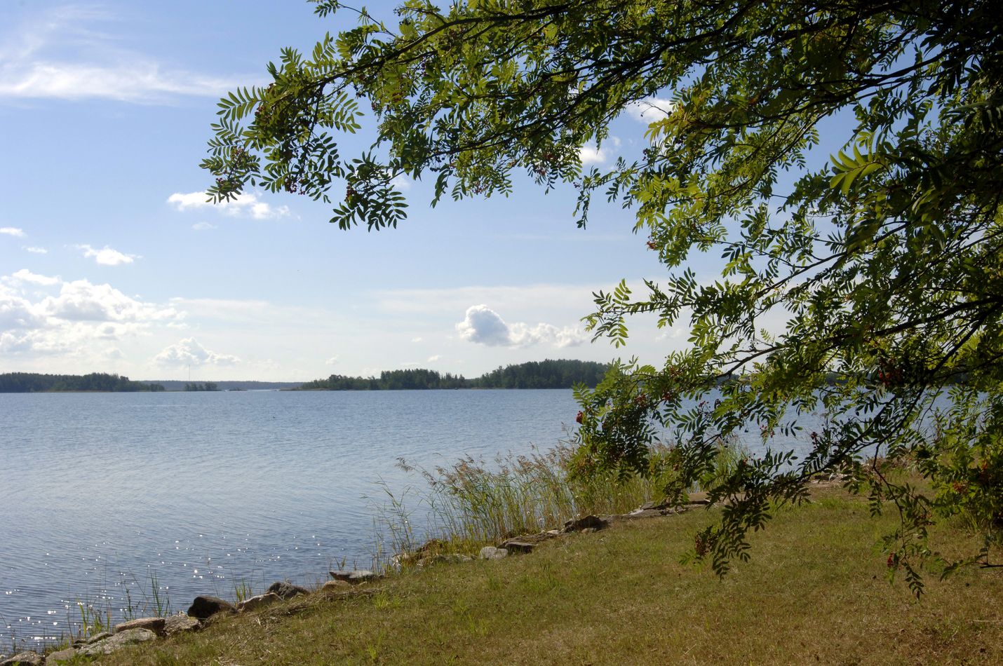 Siisti biitsi -kampanjaa toivotaan jatkettavan ensi vuonnakin.