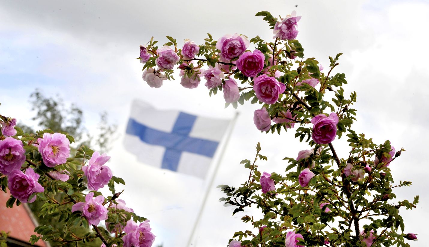 Hyvää juhannusta! Kuva: LS-arkisto/Esa Urhonen