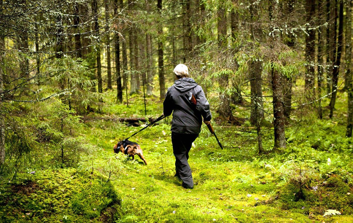 Metsästäjien määrässä ei viime vuosina ole tapahtunut suuria muutoksia. Pienriistaa ja hirvieläimiä jahtasi noin 209 000 metsästäjää vuonna 2014.