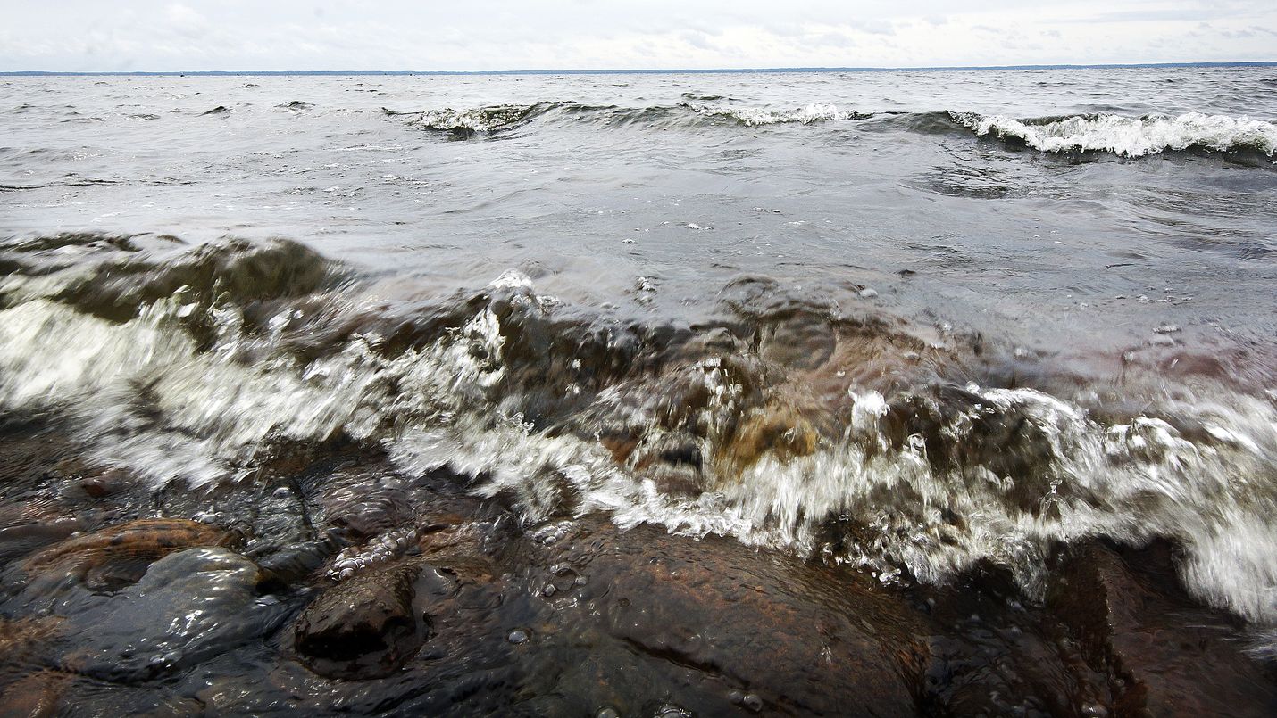 Satakuntaliitto haastaa jakamaan vetisiä äänihavaintoja. Kuva: LS-arkisto/Jami Jokinen