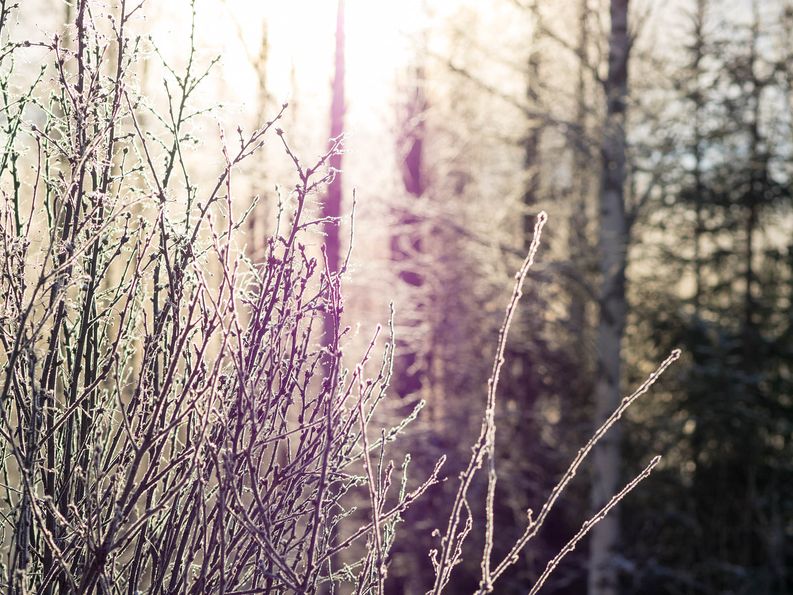 Sunnuntain aamuaurinko