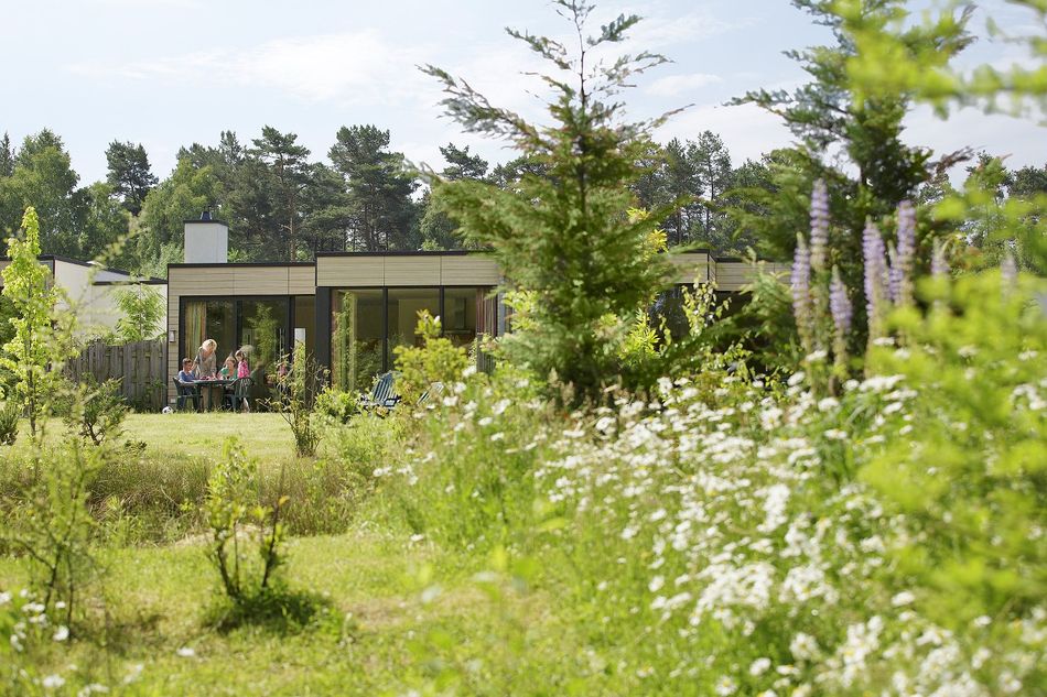 Piet Derksen, Gründer von Center Parcs, hatte einen Traum: das Vereinen aller Bedürfnisse von Urlaubern an einem einzigen Ort inmitten der Natur.