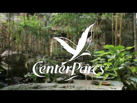 Jungle Dome im 360°-Video entdecken