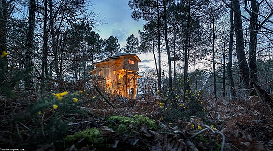 Top 4 des maisons insolites en forêt