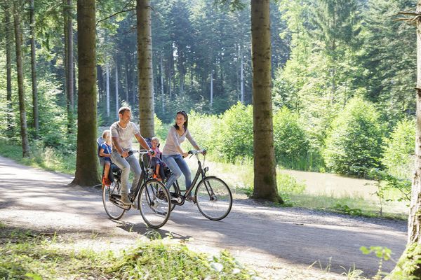 Top 5 des randonnées autour du Domaine du Lac d'Ailette