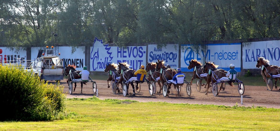 Kuva: Vermon Kuninkuusravit