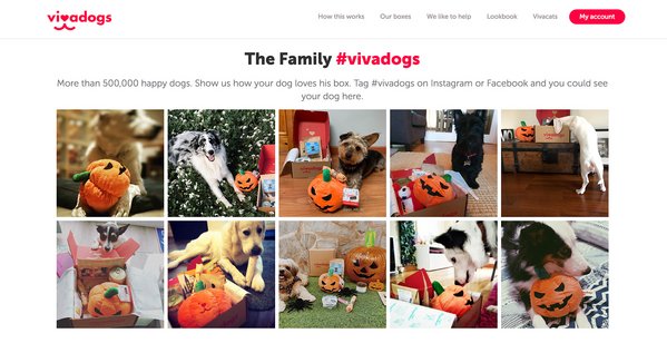 Social proof on website: Vivadogs
