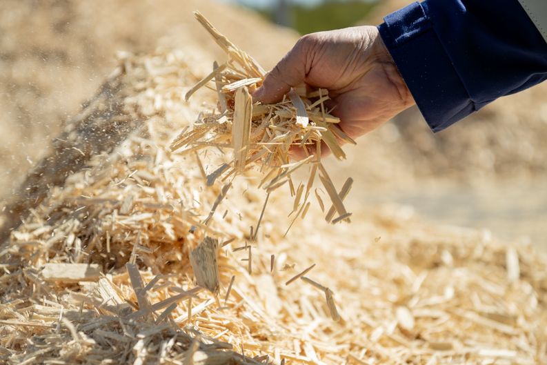 Rauman Biovoiman pääpolttoaineita ovat metsäteollisuuden sivuvirrat, puu- ja hakkuutähteet. 