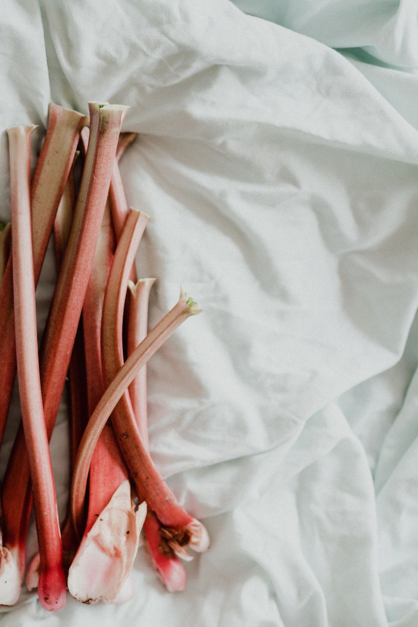 Forced rhubarb February harvest