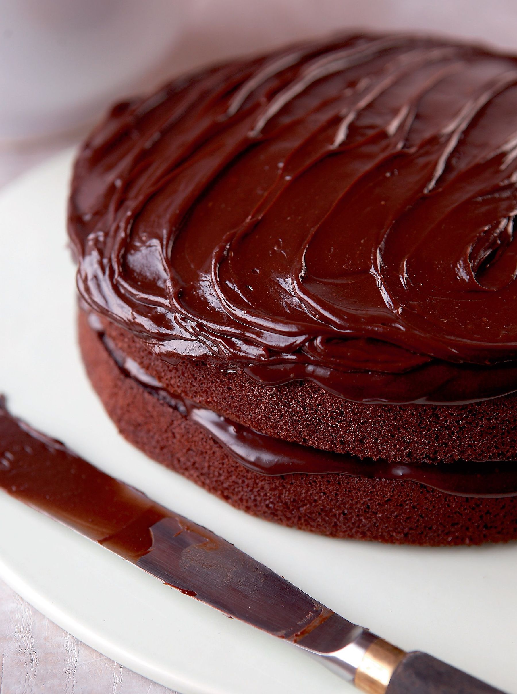 The Best Ever Chocolate Cake Recipes