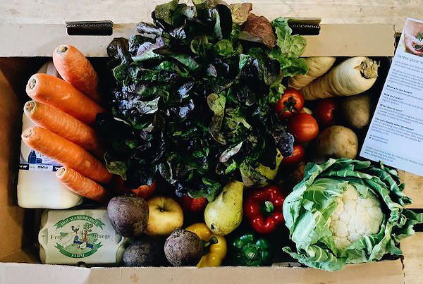 best online food delivery services pale green dot sustainable food