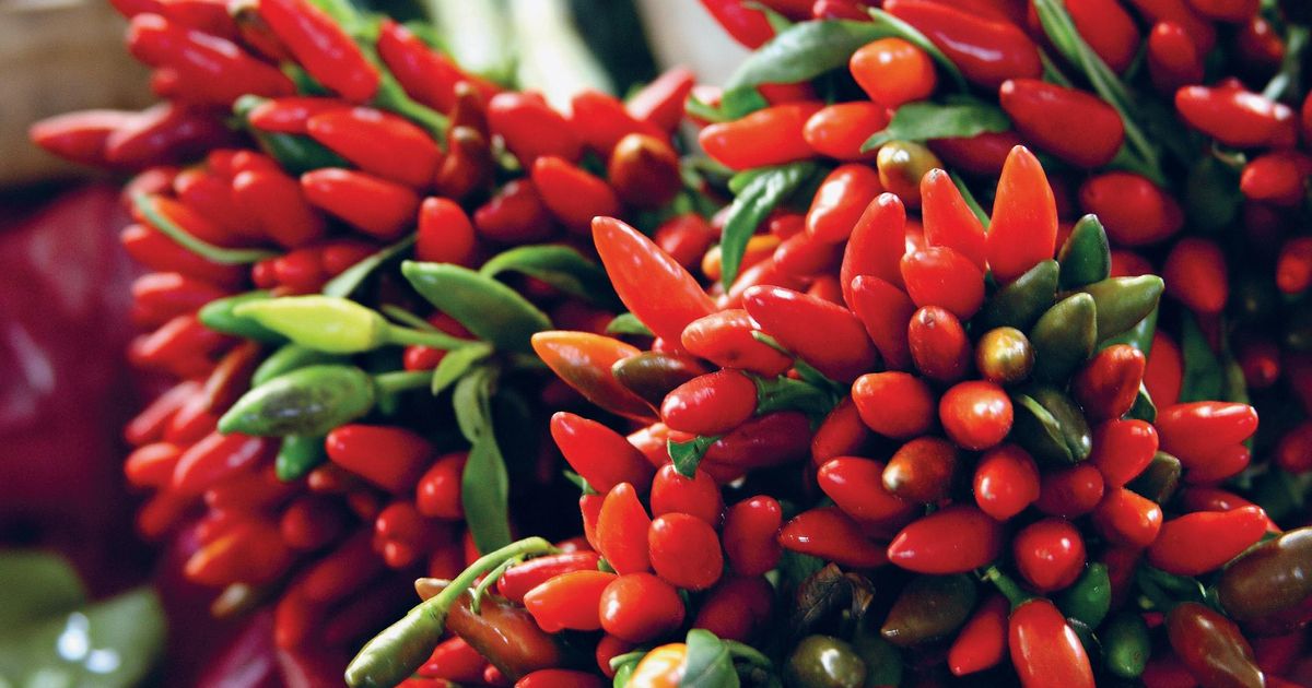 Chillies Preserved in Oil (Peperoncini Sott’Olio) - The Happy Foodie-image