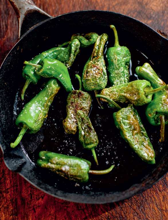 salt and pepper in spanish