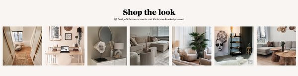 An example of integration a shoppable feed in a website