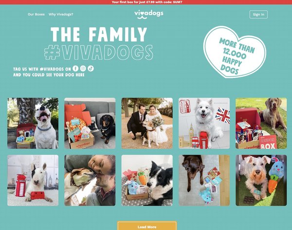 Social media feed on the Vivadogs website