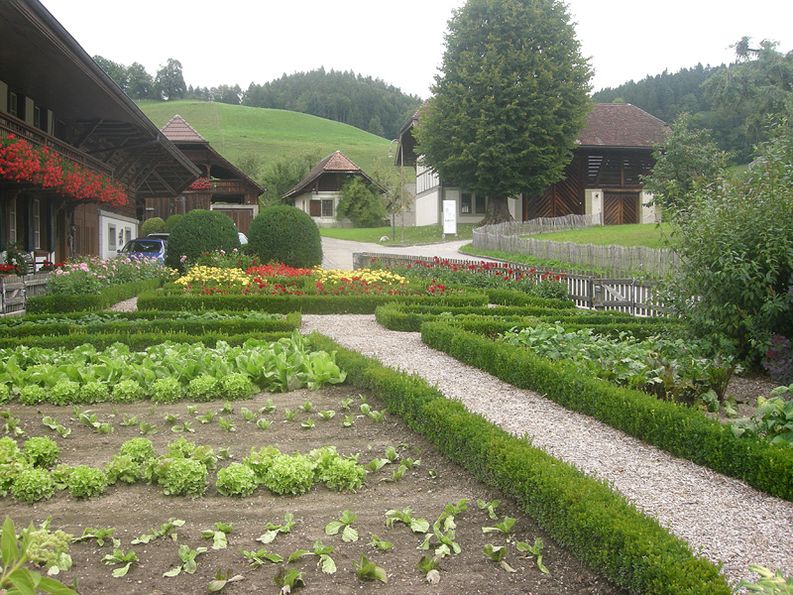Blumenrabatten und Nutzpflanzen