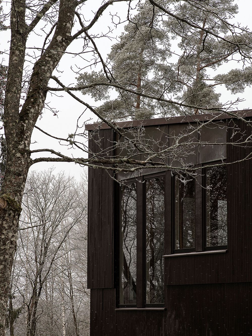 Windows at Villa Kokkonen by Alvar Aalto