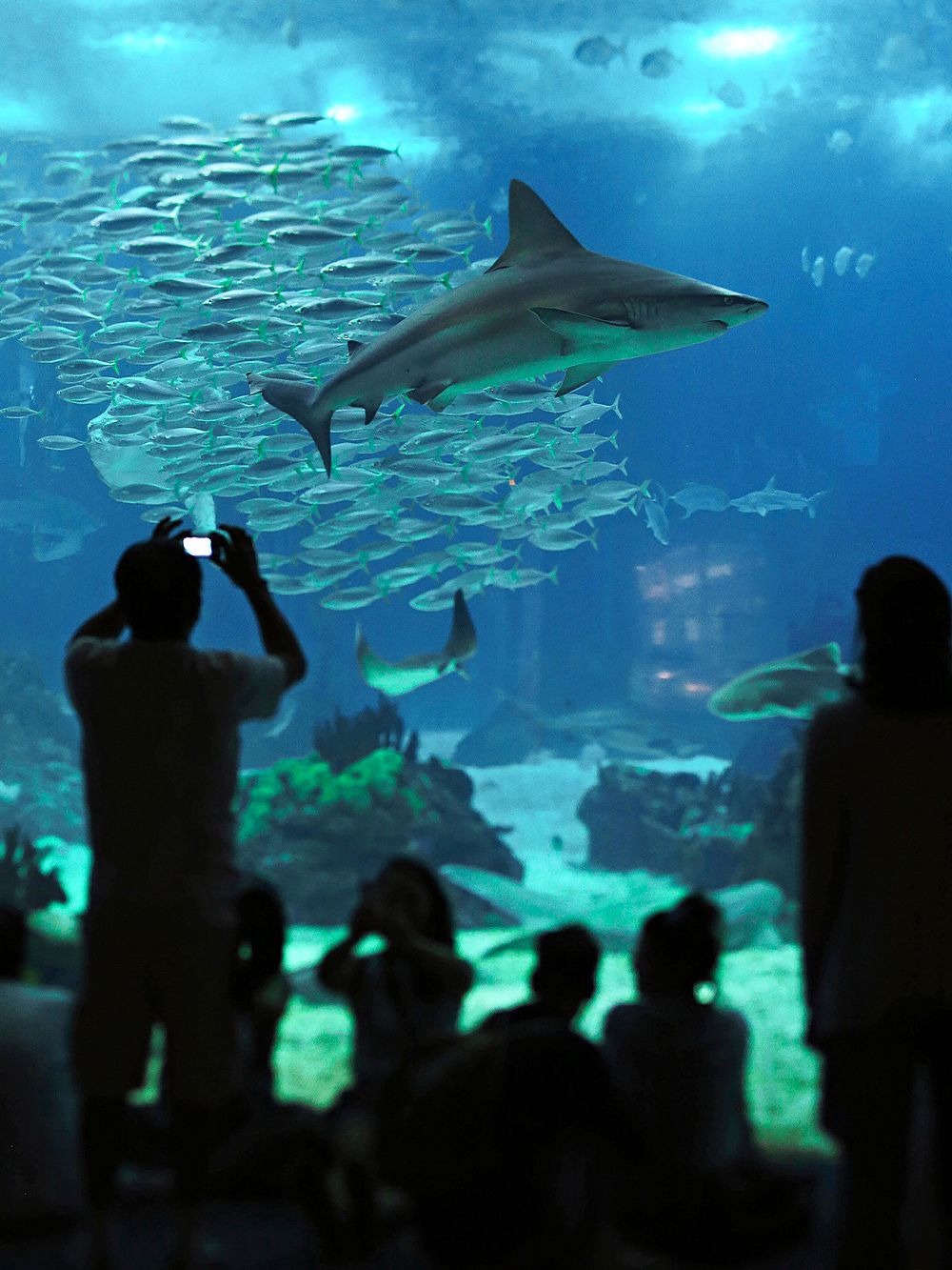 Oceanarium Lisbon