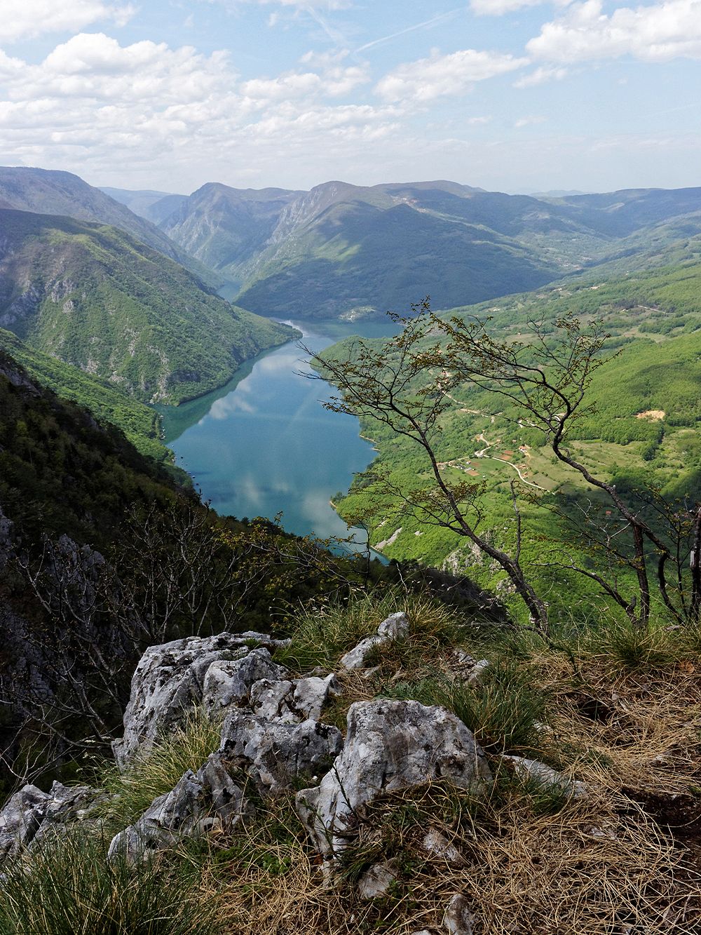 Tara national park, Serbia