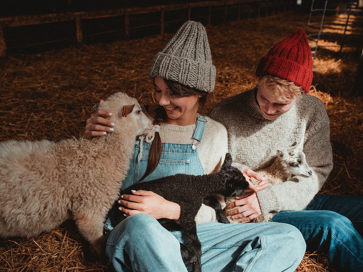 A girl, a boy and sheep