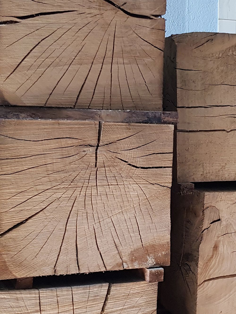 Pile of wood logs that will become Nikari Biennale stools