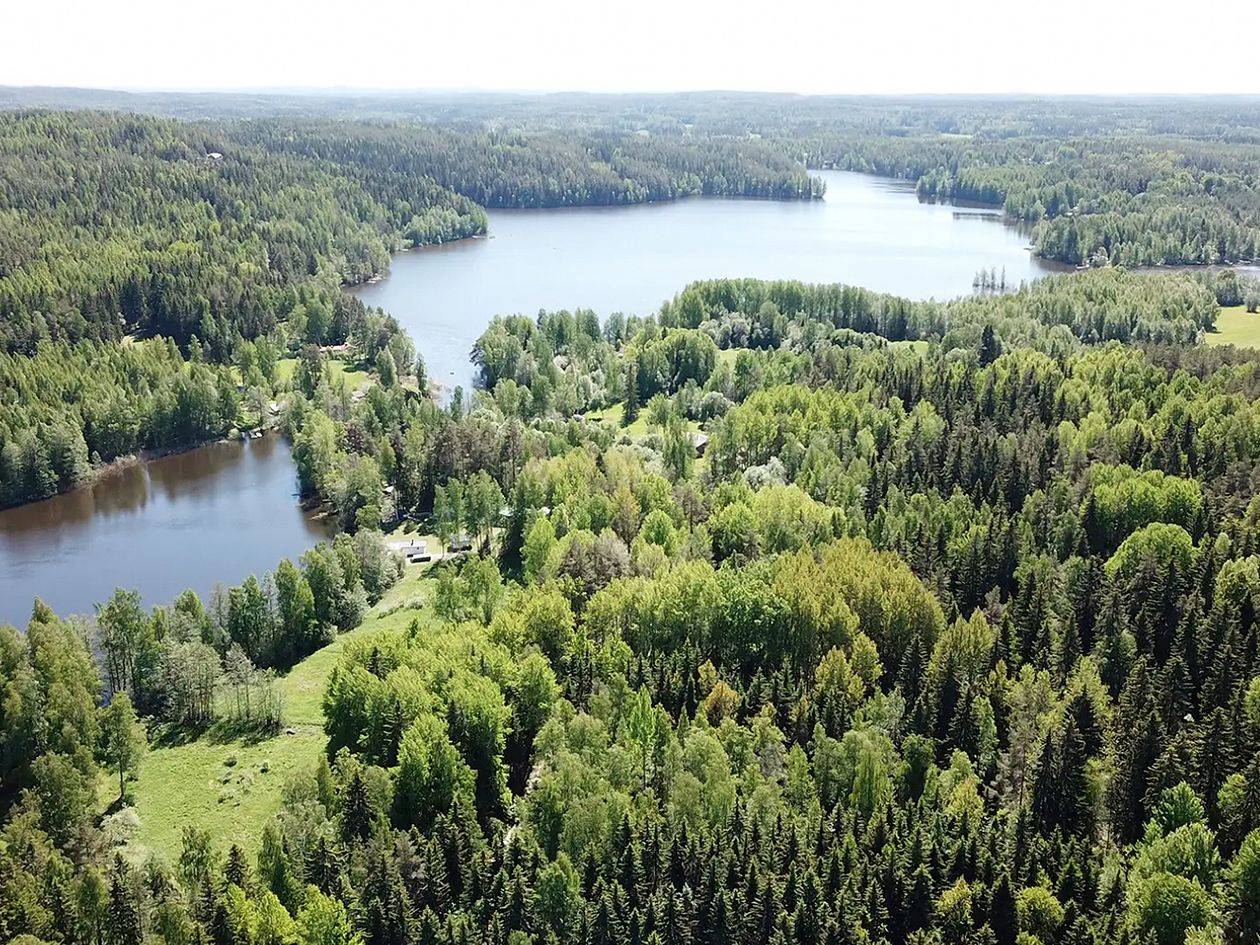 A protected forest area in Pälkäne, Finland