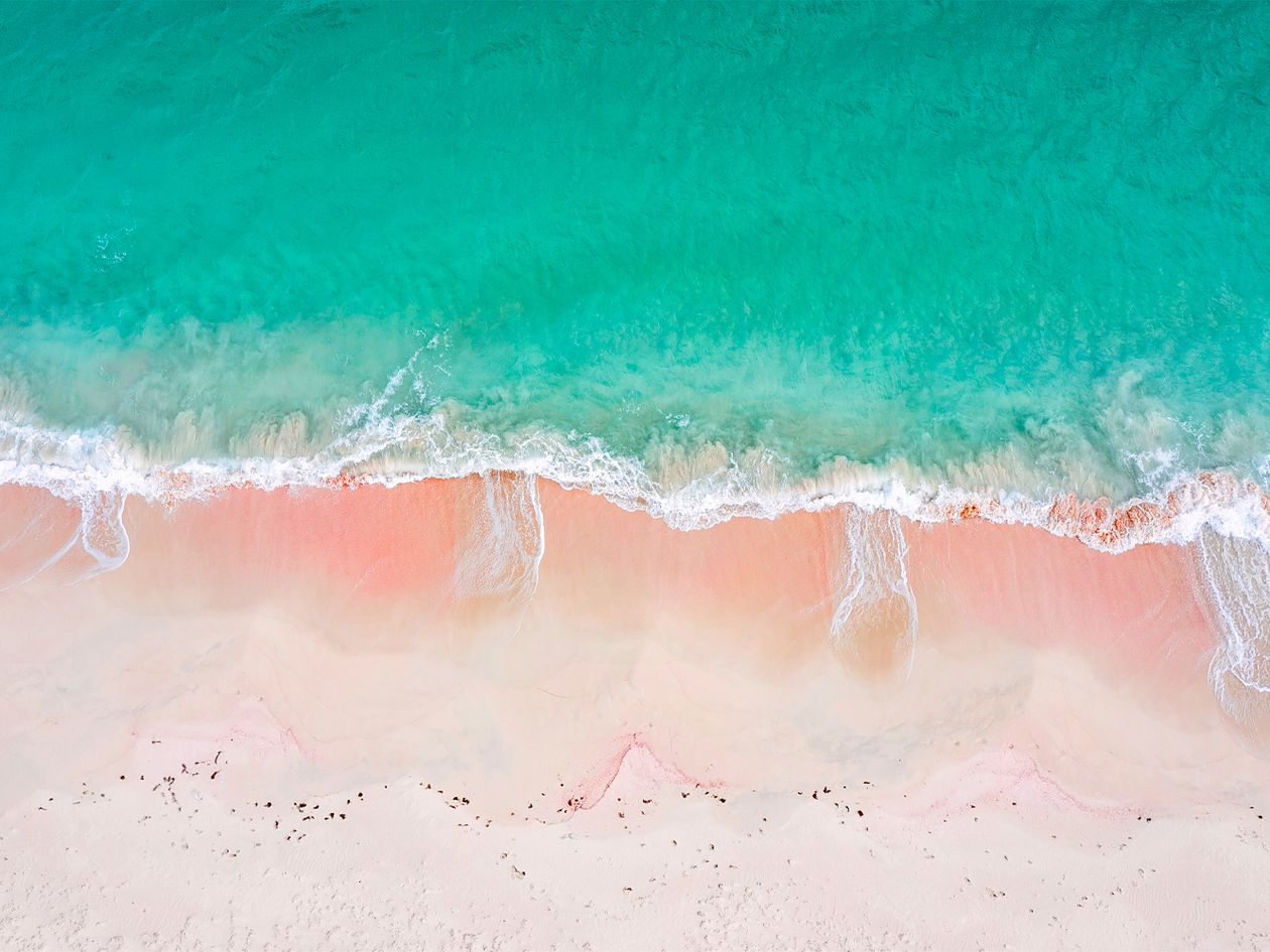 Pink beach, Caribbean Islands