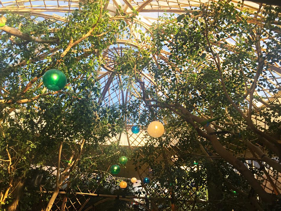 Die Bambuskuppel in Limburgse Peel wird in zwei Jahren der im Market Dome von Parc Sandur ähneln