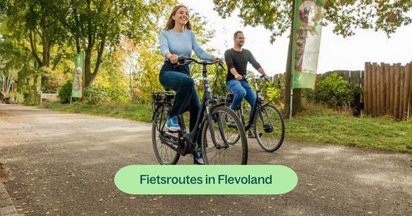 Fietsroutes in Flevoland – ontdek de mooiste tochten van de provincie