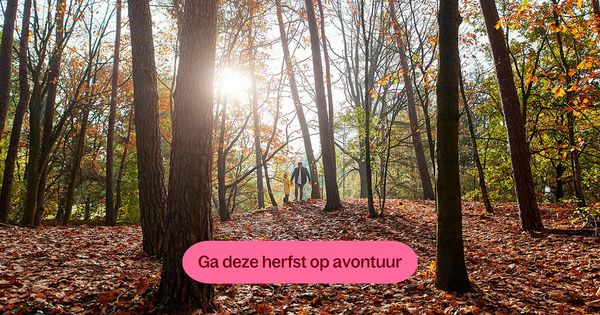 De 7 leukste vakantieparken in de herfstvakantie met kinderen