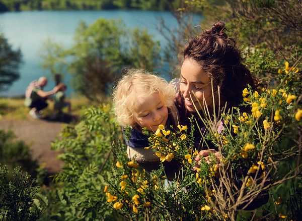 bloemen ruiken in de natuur