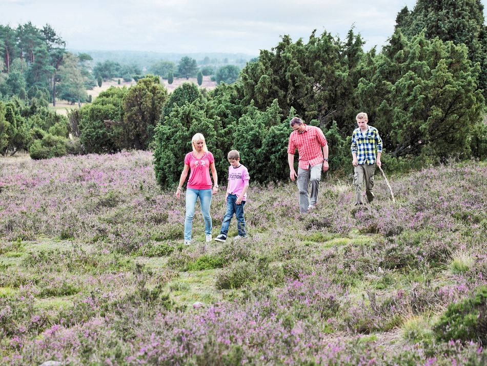 Mechelse Heide wandeling