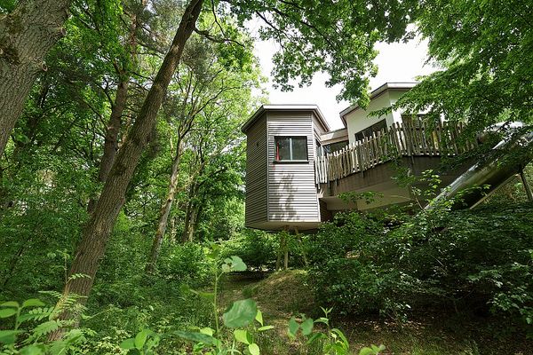 Boomhut Bispinger Heide
