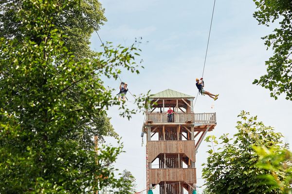 Zip Wire