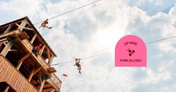 Duo Zip Wire